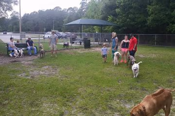 North Glynn Dog Park